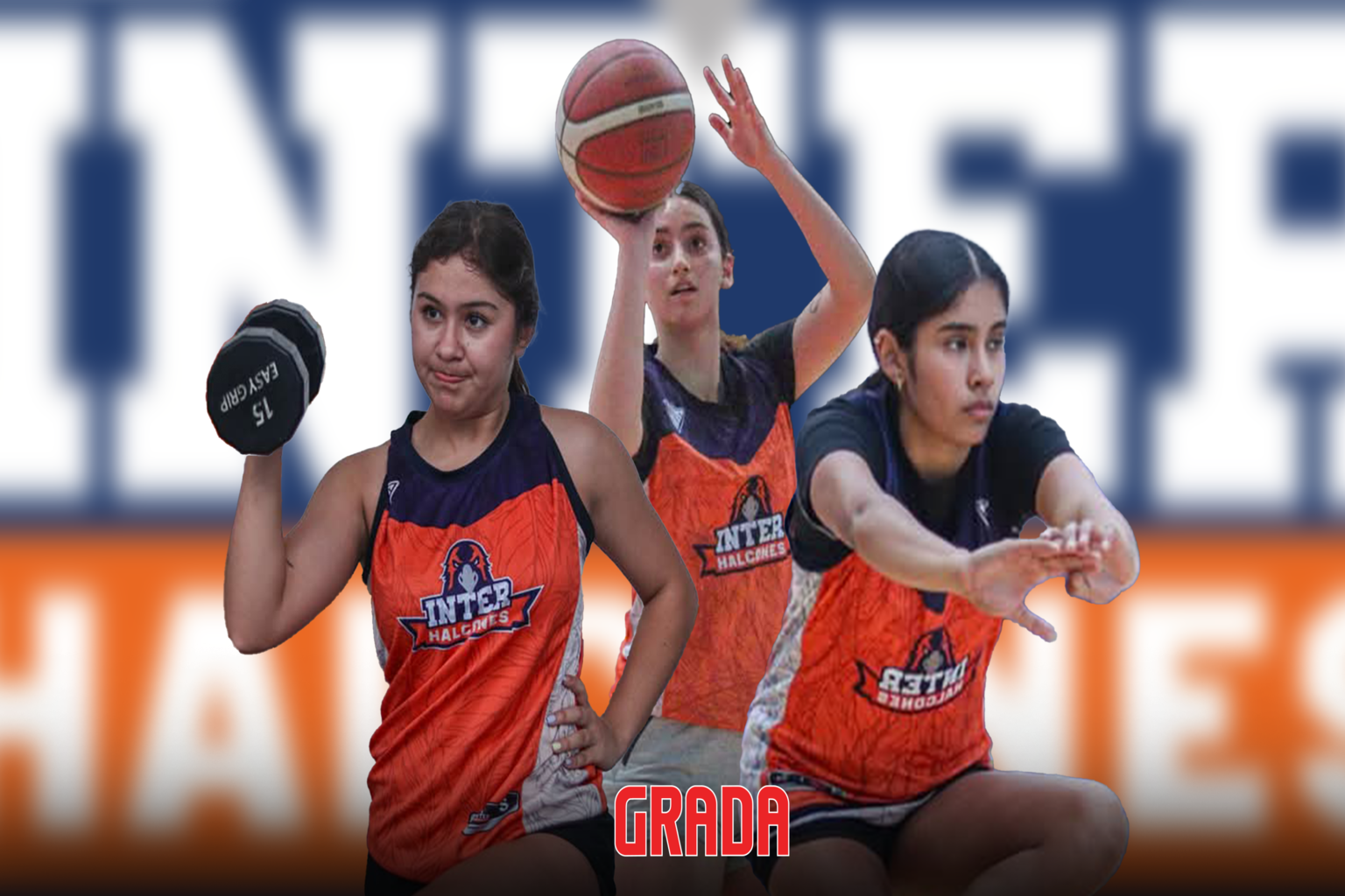 HALCONES (Basquetball)